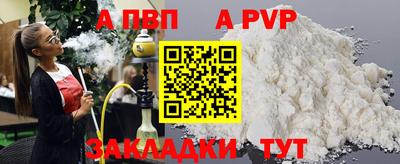 шишки Новодвинск