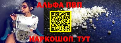 шишки Новодвинск