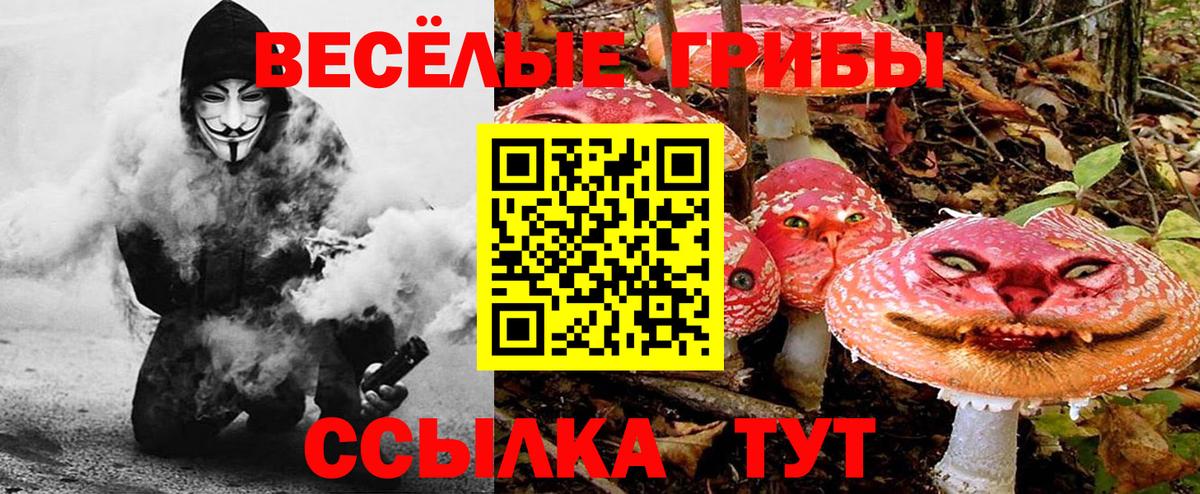 Галлюциногенные грибы мицелий Сланцы