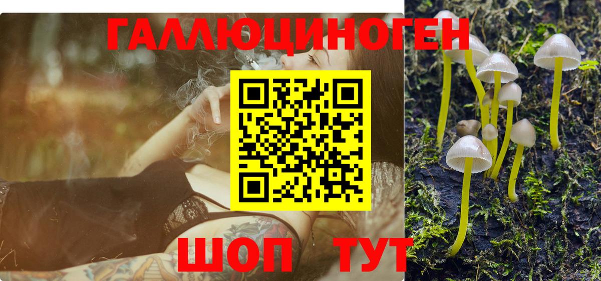 Сланцы  Галлюциногенные грибы Cubensis  Вход с VPN  Галлюциногенные грибы мицелий 